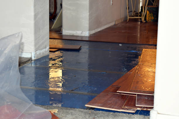 Professional Sewage Cleanup technician working in Branch, MI